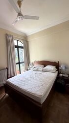 Tanglin Park (D10), Condominium #542593441